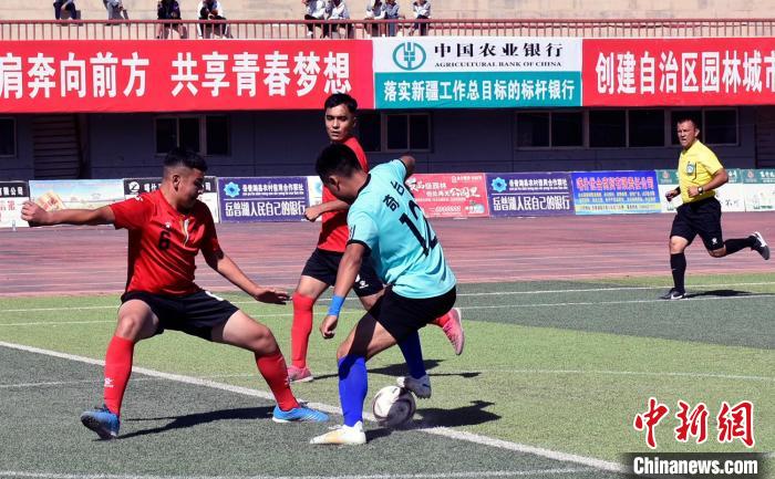 在喀什地区岳普湖县风情背景下，2023年新疆乡村